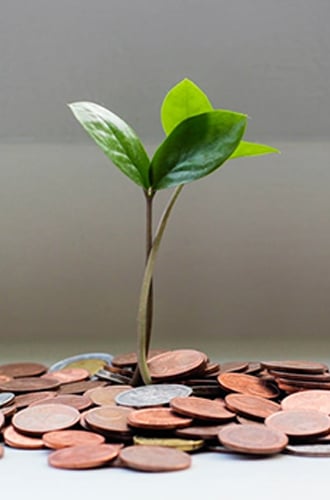 ROI-for-MDM