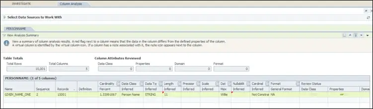 A-sample-Column-Summary-in-IA